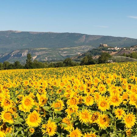 Serre Des Ormes - Cycling, Walking & Running Retreat Salerans Exterior foto