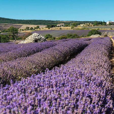 Serre Des Ormes - Cycling, Walking & Running Retreat Salerans Exterior foto