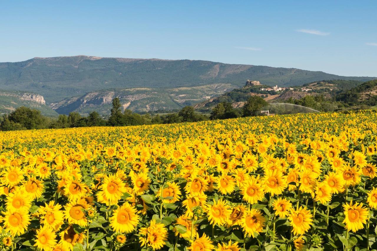 Serre Des Ormes - Cycling, Walking & Running Retreat Salerans Exterior foto